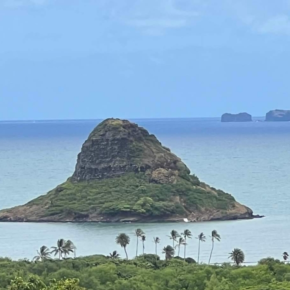 Bundle&Save - Picture 1 of 12